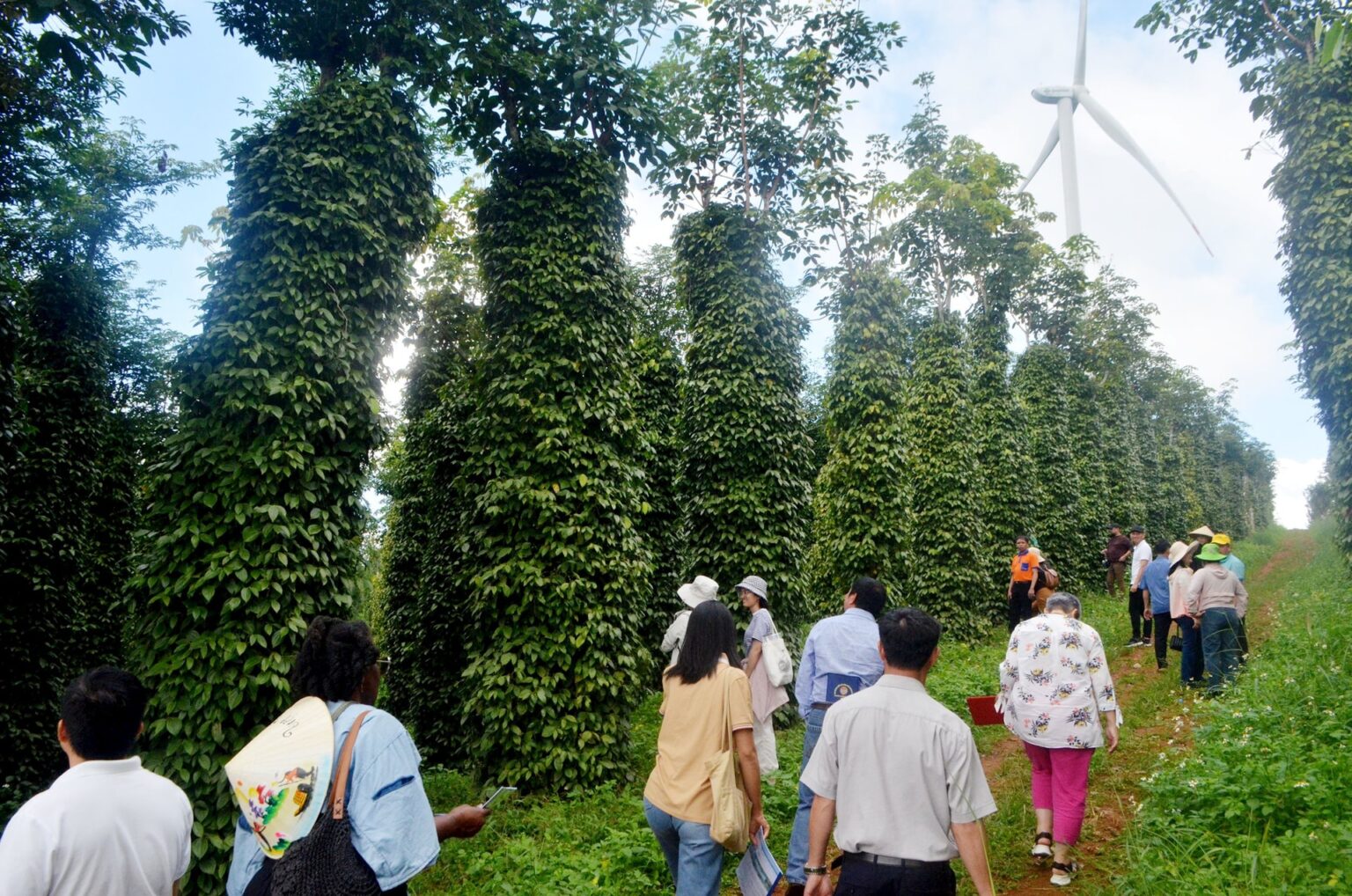 Phát huy vai trò chủ lực của doanh nghiệp trong chuỗi nông sản